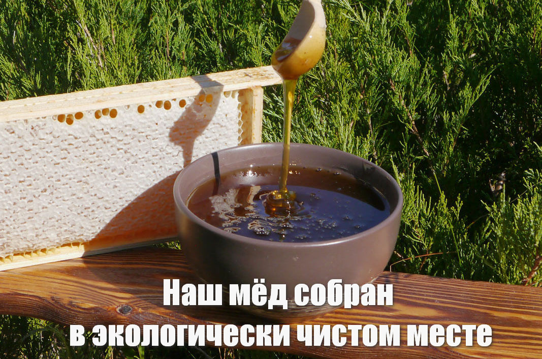 Мёд в сотах экологический для еды